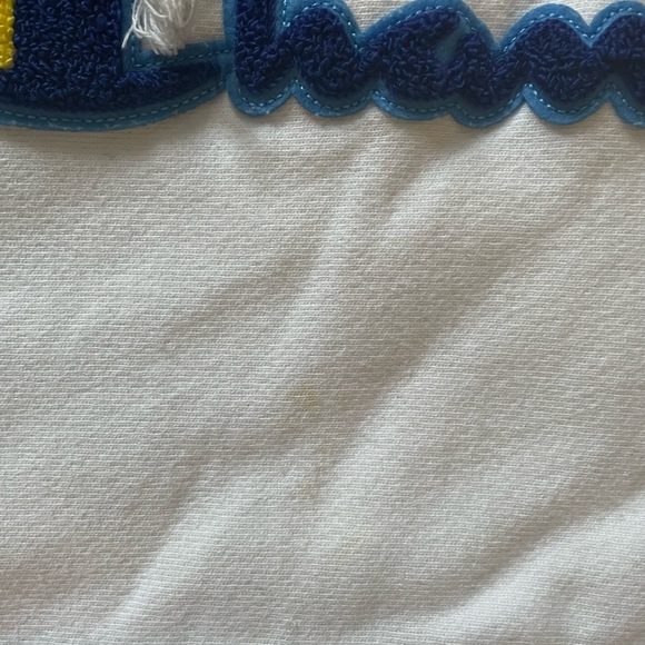 Champion hoodie, adult small, white with raised blue/yellow letters. - Picture 4 of 4